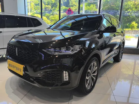 Wey VV6