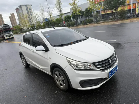 Baojun 310