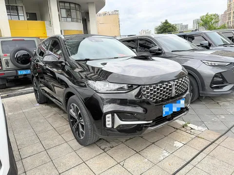 Wey VV6