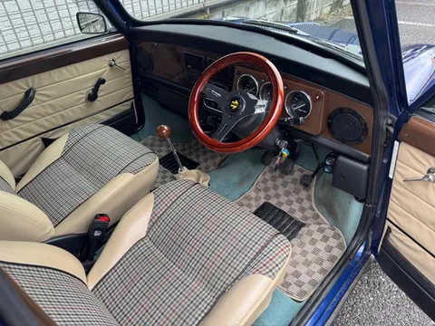 Rover Mini