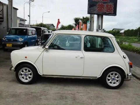 Rover Mini