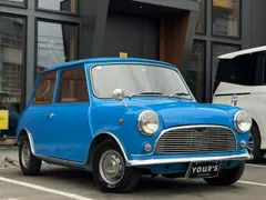 Rover Mini
