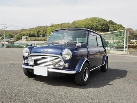 Rover Mini