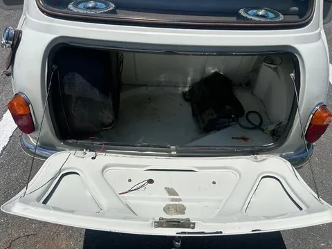 Rover Mini