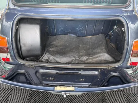 Rover Mini