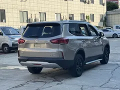 Maxus D90