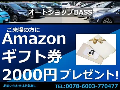 Toyota Pixis Space