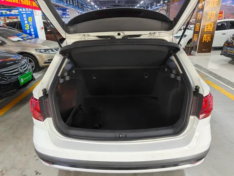 Volkswagen C-Trek