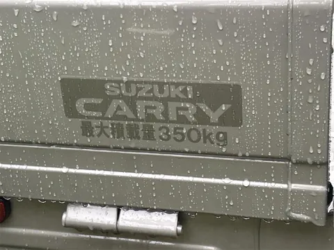 Suzuki Carry Track