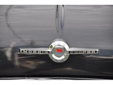 Rover Mini