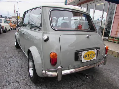 Rover Mini