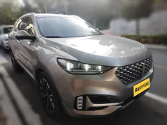 Wey VV6