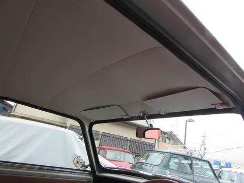 Rover Mini