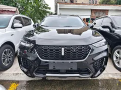 Wey VV7