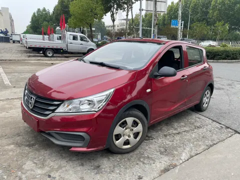 Baojun 310