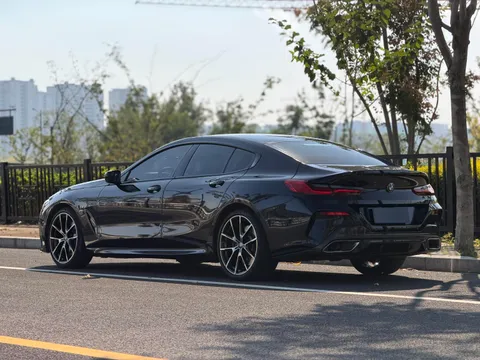 BMW 8-Series