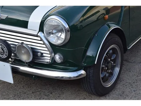Rover Mini