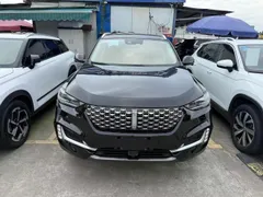 Wey VV6