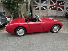 Austin Healey