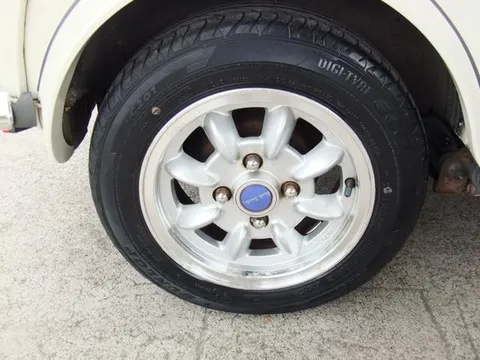 Rover Mini