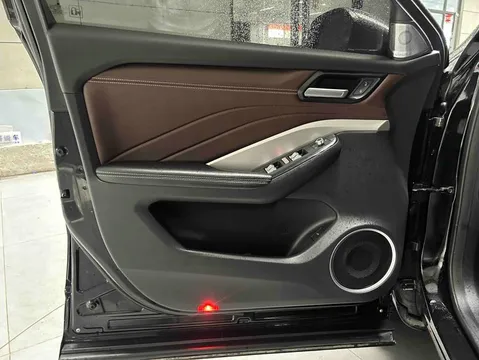 Wey VV6