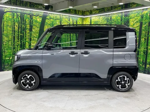 Mitsubishi Delica Mini