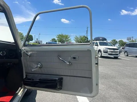 Rover Mini