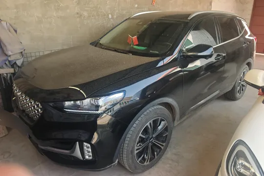 Wey VV6