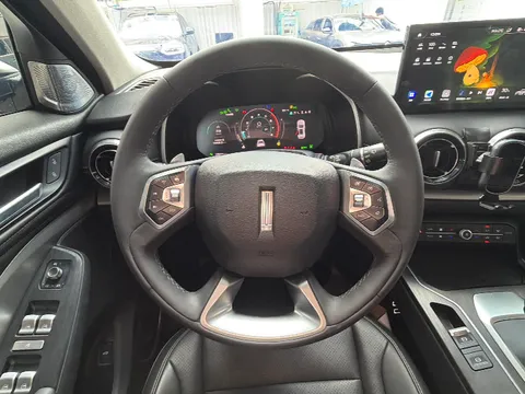 Wey VV6