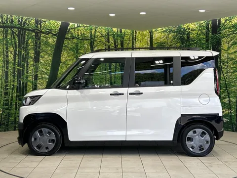 Mitsubishi Delica Mini