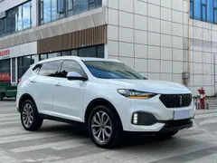 Wey VV6