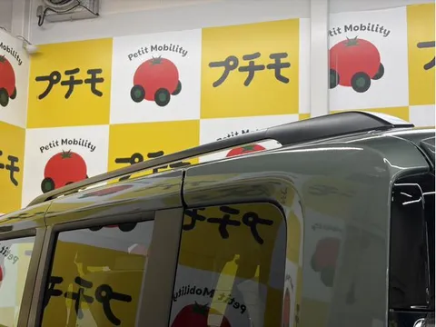 Mitsubishi Delica Mini