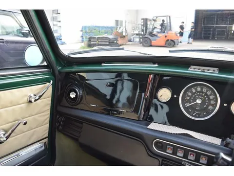 Rover Mini