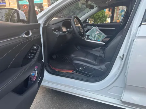 Geely Preface (Xingrui)