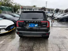 Haval Dargo