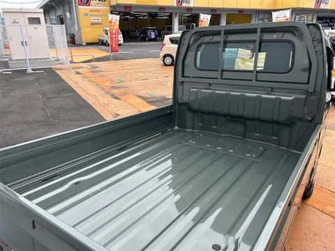 Suzuki Carry Track