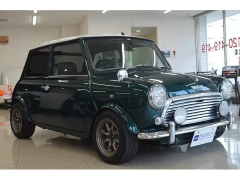 Rover Mini