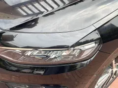 Geely Preface (Xingrui)