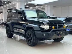 Tank 300