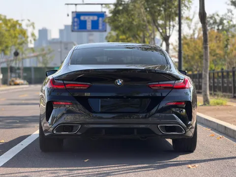 BMW 8-Series