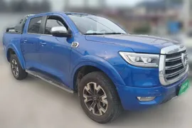 Great Wall Poer