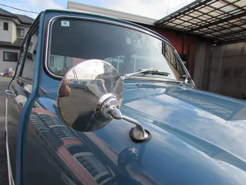 Rover Mini