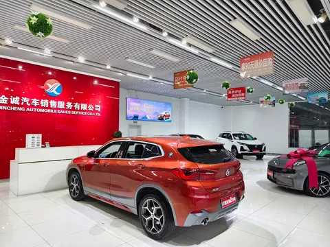 BMW X2