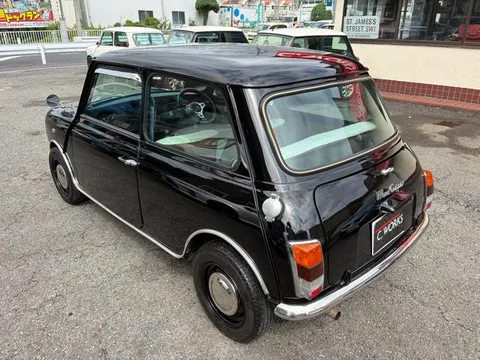 Rover Mini