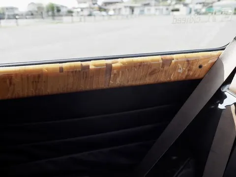Rover Mini