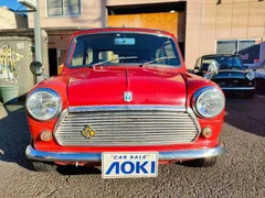 Rover Mini