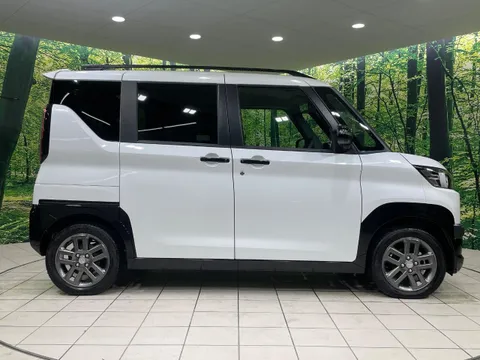 Mitsubishi Delica Mini