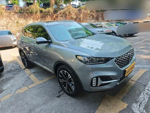 Wey VV6