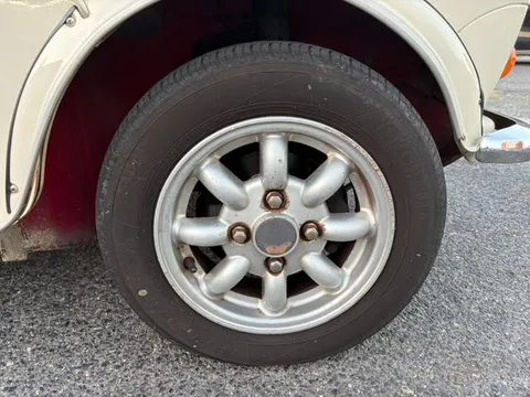 Rover Mini