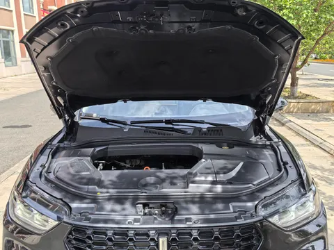 Wey VV5